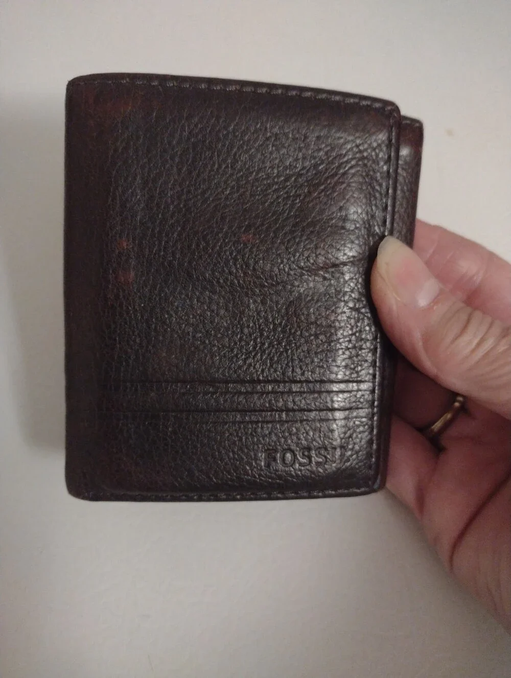 Fossil compact brown